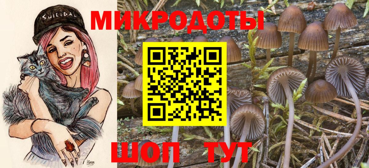 Галлюциногенные грибы Magic Shrooms Раменское